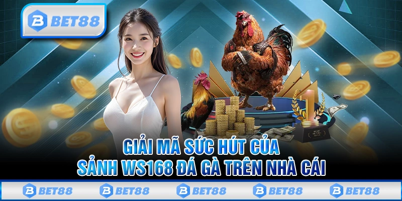 Trải Nghiệm Ws168 Đá Gà Online Đỉnh Cao Trên Nhà Cái BET88 2 Tại sao sảnh đá gà WS168 lại được ưa chuộng tại BET88?