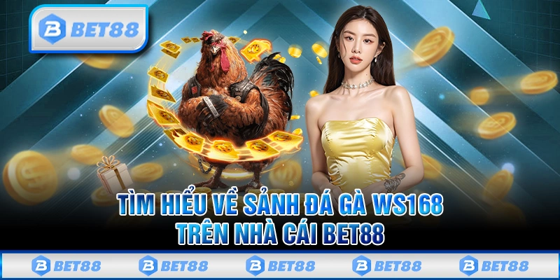 Trải Nghiệm Ws168 Đá Gà Online Đỉnh Cao Trên Nhà Cái BET88 1 Trải Nghiệm Ws168 Đá Gà Online Đỉnh Cao Trên Nhà Cái BET88